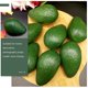 thumbnail image 4 of BRIGHTFUFU 3 unids modelo de aguacate artificial foto accesorios de aguacate plástico modelos de niños juguetes para niños, 4 of 7