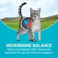 thumbnail image 5 of Purina ONE Tender Selects Blend With Real Salmon Digestive Care Natural Dry Cat Food, 7 lb, 4 Pack, 5 of 13