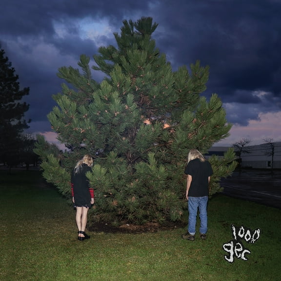 100 Gecs - 1000 Gecs - Music & Performance - CD