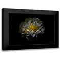 thumbnail image 1 of Carson, Brian 24x18 Black Modern Framed Museum Art Print Titled - Backyard Flowers 25, 1 of 5