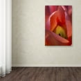 thumbnail image 4 of Trademark Fine Art "Glowing Tulip" Canvas Art by Kurt Shaffer, 4 of 4