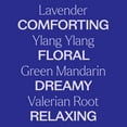 thumbnail image 5 of Plant Therapy Sleep Aid Essential Oil Blend 10 mL (1/3 oz) Calming & Sleep Blend 100% Pure, Undiluted, Natural Aromatherapy, 5 of 7