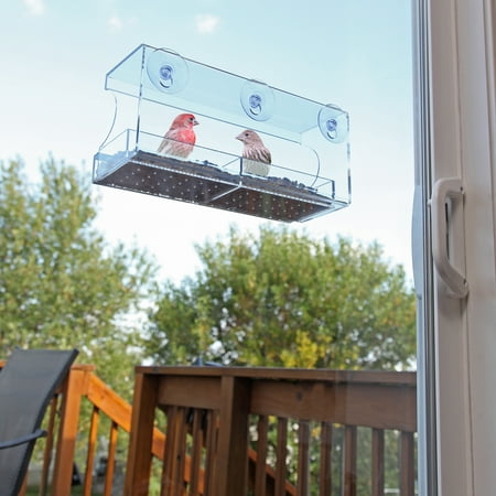Clean Cup Feeder - Large Window Bird Feeder with Strong Suction Cups