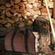 thumbnail image 5 of Bolsa de transporte de leña de lona portátil, bolso de mano, soporte para estante de chimenea, de leña, gran capacidad para fogata, , Macarena Bolsa de leña, 5 of 8