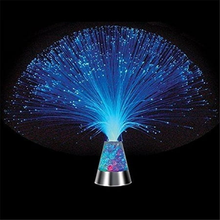 

Westminster Multi-Sensory Glacier Fiber Optic Light