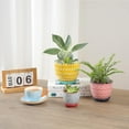 thumbnail image 6 of ANHXN ceramic flowerpot, indoor plant flowerpot, planter with drainage hole and tray. Different colors to choose from, 6 of 6