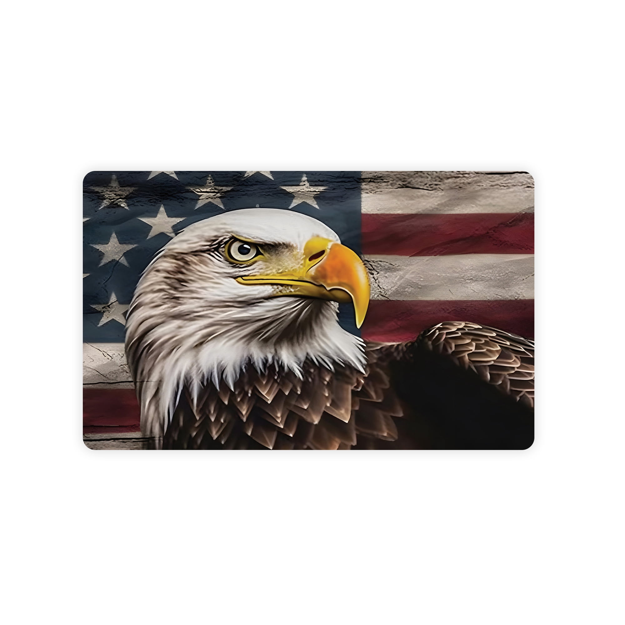 JML Doormat, Non-Slip Indoor Outdoor Rug Mats for Porch Entry Way, Floor Mat for Bathroom/Kitchen, (16"x24") - Eagle and American Flag