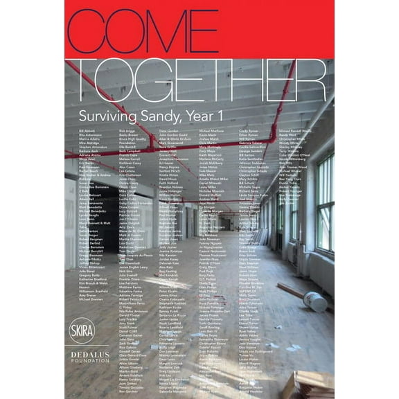 Come Together: Surviving Sandy, Year 1, (Hardcover)