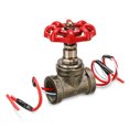 thumbnail image 1 of Water Pipe Stop Valve with Electric Wires 1/2 Inch Vintage Style Shut Off Valve for Tube Lamp, 1 of 6