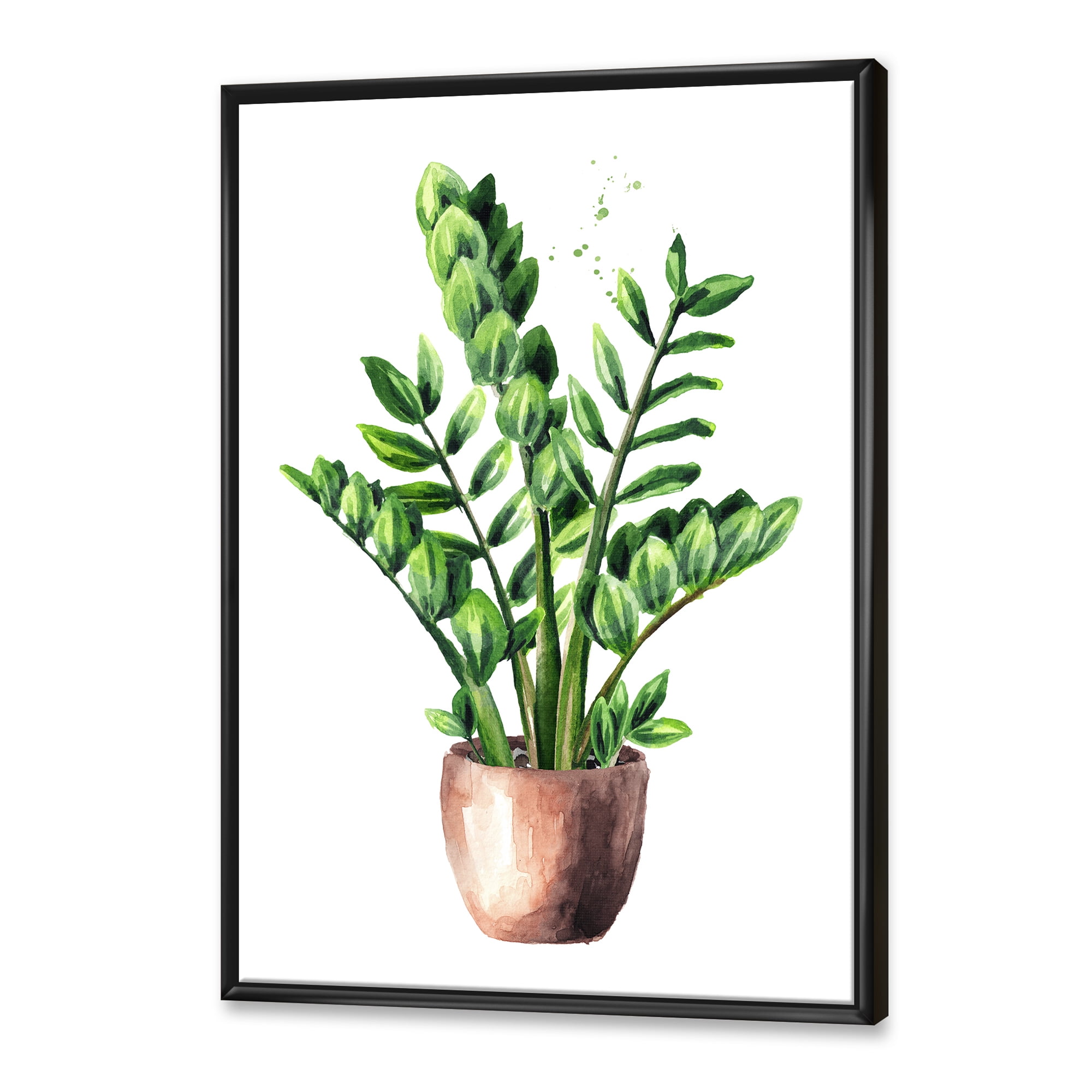 Designart 'Zamioculcas Tropical Plant With Green Leaves On White' Traditional Framed Canvas Wall Art Print