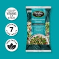 thumbnail image 2 of Taylor Farms Mediterranean Crunch Chopped Salad Kit, 10.89 oz Bag, Fresh, Vegetarian, Soybean Free, 2 of 7