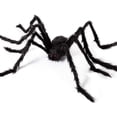 thumbnail image 5 of 150 Black Spider + 12 Círculos 5 Metros Black Web Adepaton WMZL-2148, 5 of 5