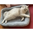 thumbnail image 5 of NAMSAN Cat Bed Kitten Bed Cosy Soft Small Dog Cushion Sleep Washable Bed for Cat's Nest/ Cave/Sofa( 22'' X 16''), 5 of 8