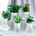 thumbnail image 5 of SPRING PARK 2Pcs Double Tier Hydroponic Epipremnum Aureum Self Watering Plant Flower Pots Automatic-Watering Planter Home Decor, 5 of 7