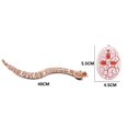 thumbnail image 4 of Novedad Juguetes pardultos para niños Modelo de animal controlado por serpiente Recargable , Rosado, 4 of 9