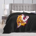 thumbnail image 4 of Bethune-Cookman A University Fleece Blanket, Very Soft Microfiber Flannel Blanket for Couch Warm and Cozy for All Seasons, 4 of 6