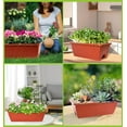 thumbnail image 7 of Window Box Planter, 3 Pack Plastic Vegetable Flower Planters Boxes 14 Inches Rectangular Flower Pots with Saucers for Indoor Outdoor Garden, Patio, Home Decor (green), 7 of 7