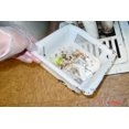 thumbnail image 3 of 8.5" Floor Sink Basket, for Restaurant Floor Sink drains, Prevent Drain Clogs with The Original Drain-Net Basket, 3 of 7