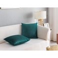 thumbnail image 4 of Set of 2 Comfortable Throw Pillow Cover for Bedding, Decorative Accent Cushion Sham Case for Couch Sofa, Soft Solid Velvet with Zipper Hidden - 18x18", 4 of 6