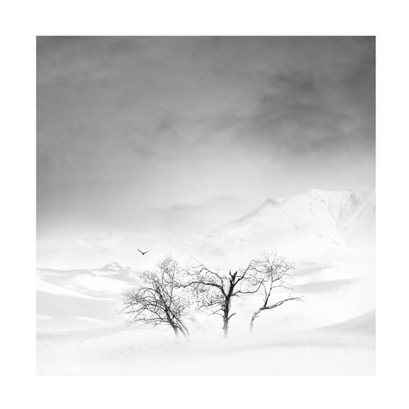 Trademark Fine Art MOSTAFA NODEH Gilan Canvas Wall Art