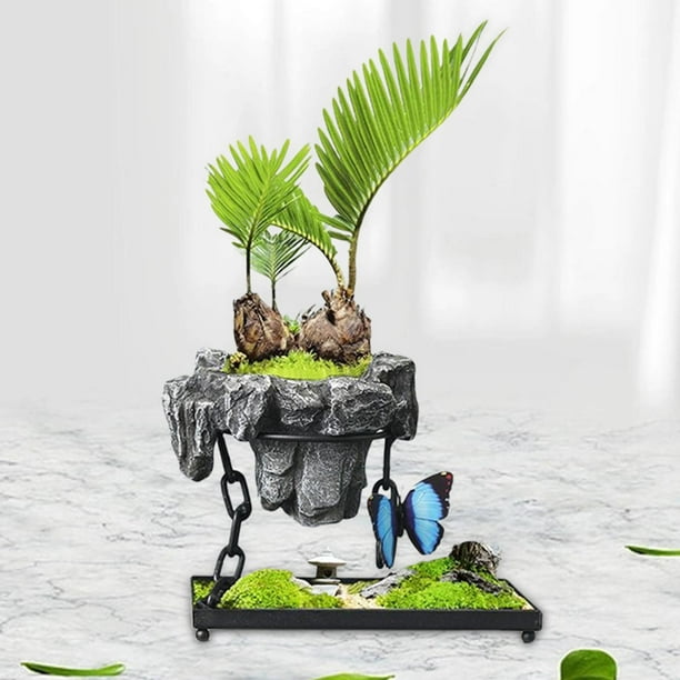 Maceta perfecl con orificio de drenaje para plantas de interior