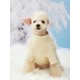 thumbnail image 4 of PETSIN Plush Green Warm Knit T-shirt, 4 of 4