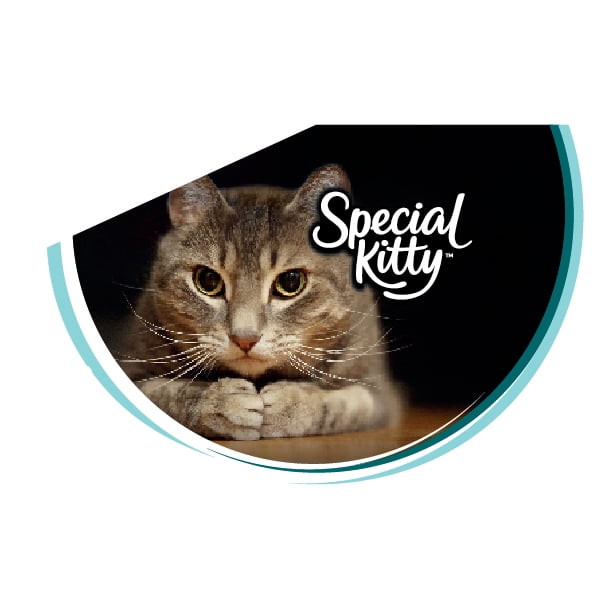 Special Kitty Crunchy & Creamy Cat Treats, Tuna Flavor, 3 oz