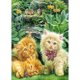 thumbnail image 1 of Taladro Pintura Diamante (DE4186) 5D DIY Gato Completo Punto de Cruz Craft Kit Decoración (WX067) 40x50cm FLhrweasw Nuevo, 1 of 1