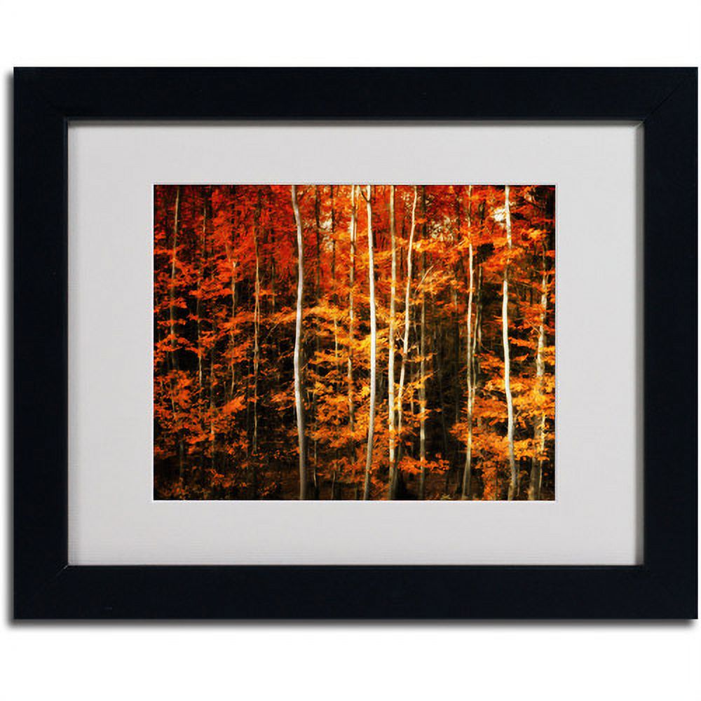 Trademark Fine Art "Still Painting" Canvas Art by Philippe Sainte-Laudy, Black Frame
