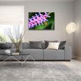 thumbnail image 5 of Epic Art 'Mine' by Dana Brett Munach, Acrylic Glass Wall Art, 36"x24", 5 of 8