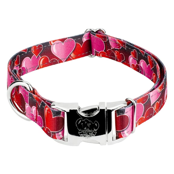 Country Brook Petz® Premium Romantic Hearts Reflective Dog Collar, Medium