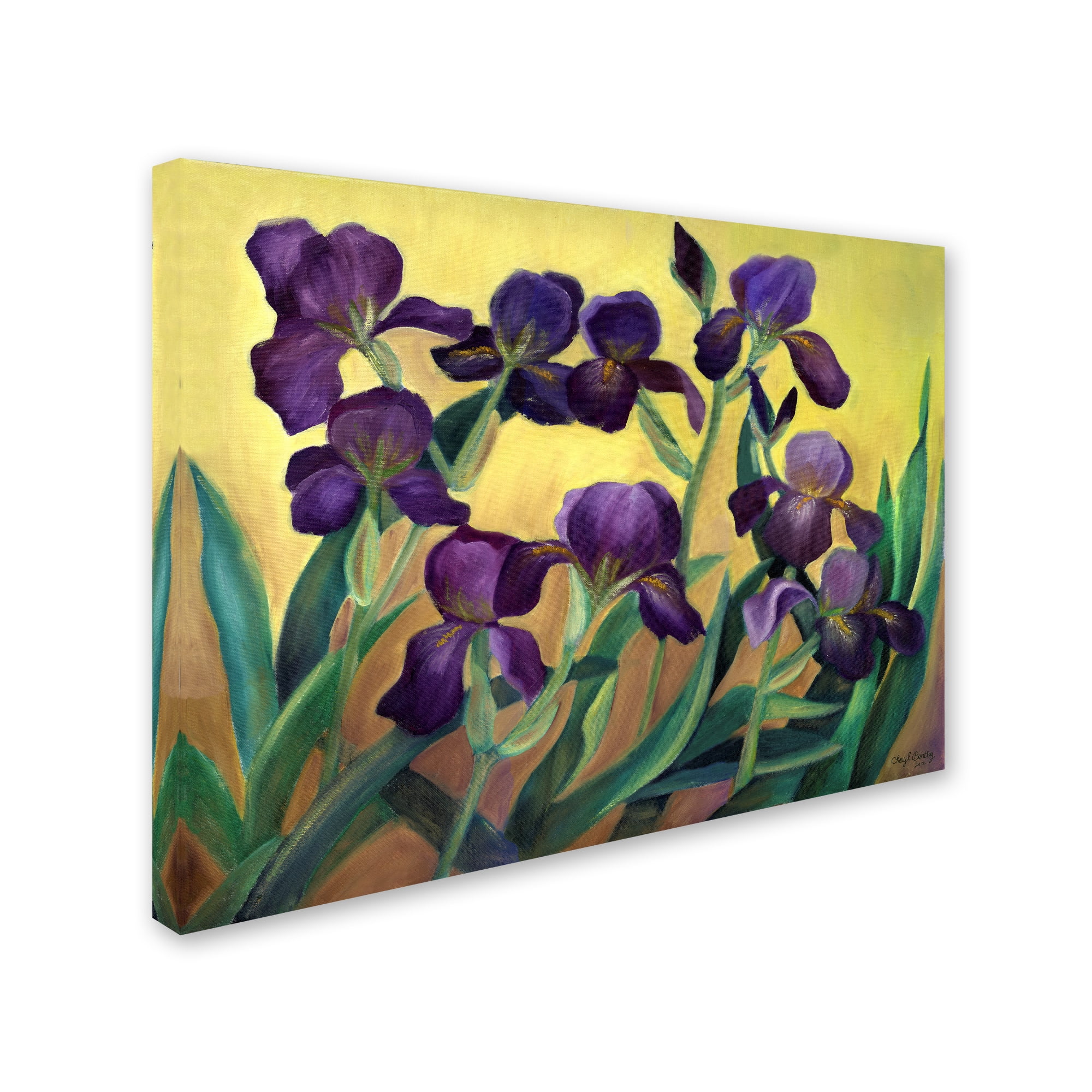 Trademark Fine Art 'Purple Bearded Iris' Canvas Art by Cheryl Bartley