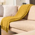 thumbnail image 1 of Chenille Basket weave Knit Throw with Fringe, Lightweight Breathable Chenille Blanket for Couch, Chair, Bed, Outdoor Use, 1 of 4