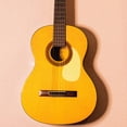 thumbnail image 3 of OULII 2 Pcs Autocollants de Guitare en Tpu Feuilles Protectrices Anti-Rayures pour Protection des Instruments, 3 of 7