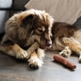 thumbnail image 5 of Dogwood Mesquite Dog - Real-wood Blend  Moderate Chewers Medium 7.5" 2-pack (natural & Flavors), 5 of 7