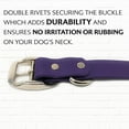 thumbnail image 5 of Regal Dog Products Waterproof Collar with Double Buckle and D Ring, 5 of 8