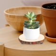 thumbnail image 4 of Raindrops Set of 2 Brown Wooden Plant Stands, Round Pedestal Shelves for Indoor and Outdoor Decorative Display, 4 of 8