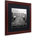 thumbnail image 2 of Trademark Fine Art "Lake Vista II" Canvas Art by Alan Blaustein, Black Matte, Wood Frame, 2 of 4