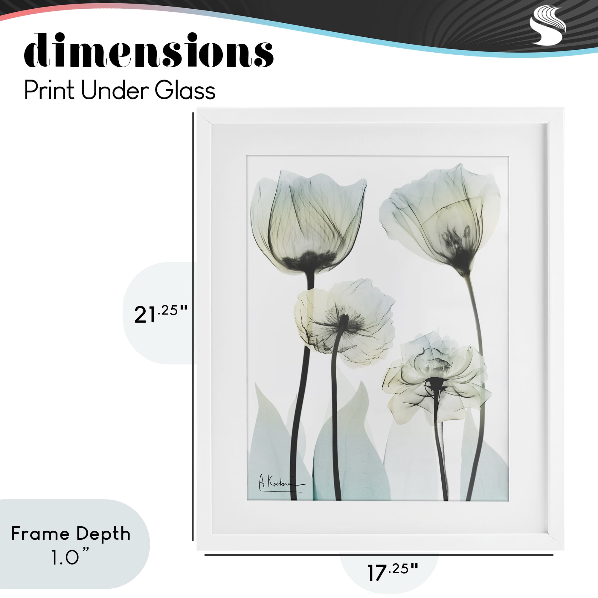 Stupell Industries Floral Luxury Of Creation White Framed Print Under Glass, design by Albert Koetsier