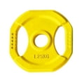 thumbnail image 3 of Lipstore Barbell Fractional Weight Plate Add-on Change Weight Plate for Micro Loading 1.25kg, 3 of 8