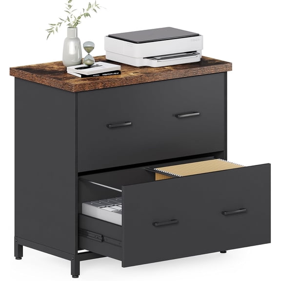 Fnova 2 Drawer Lateral File Cabinet, Filing Cabinet with Hanging Rods for Legal/Letter/A4 Folders, Modern Office Storage Organizer with Printer Stand, Home Office Furniture