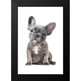 thumbnail image 2 of Amanda Greenwood 11x14 Black Modern Framed Museum Art Print Titled - Frenchie IX, 2 of 5