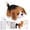Brown, variant on Black Black Dog Diy Needle Felting Kit For Beginners Wool Animal Craft Set With Tools