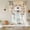 Brown, variant on Vintage Bees Crowns Tie Up Curtains 45 Inches Long, Kitchen Window Curtains Over Sink, Retro Leaves Rings Gray Wooden Small Window Curtains Shade Balloon Curtains Valances for Bedroom/Cafe 34"x45"