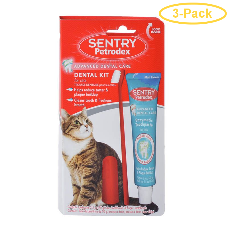 guinea pig black white