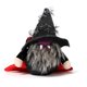 thumbnail image 1 of Cateissary Muñeco de gnomo, colgante de Navidad, juguete de chico multicolor, adorno de Navidad, tamaño compacto, sin cara, adorno de alegría, Kits de decoración para fiestas Sombrero puntiagudo, 1 of 6