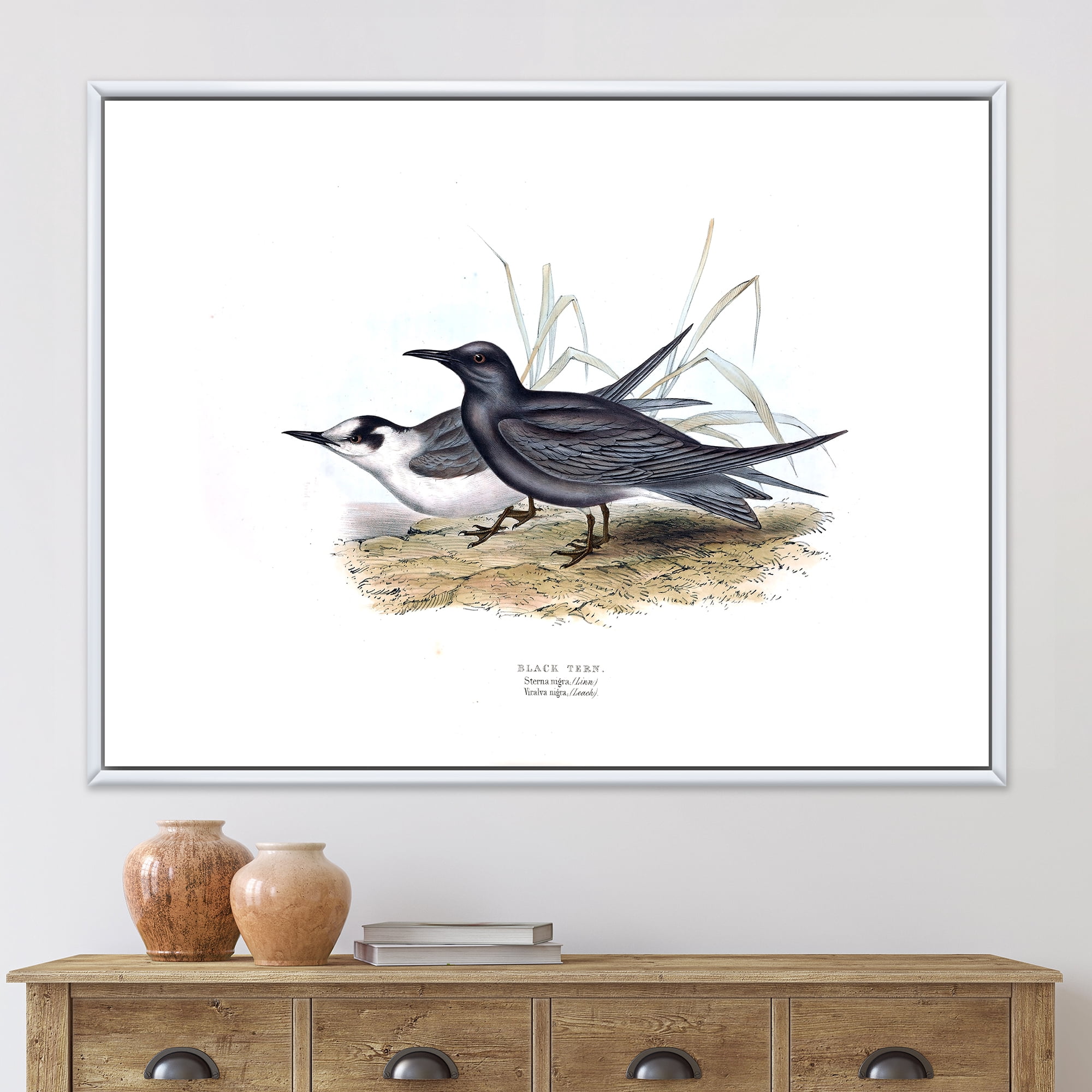 Designart 'Ancient Bird Of Europe II' Traditional Framed Canvas Wall Art Print