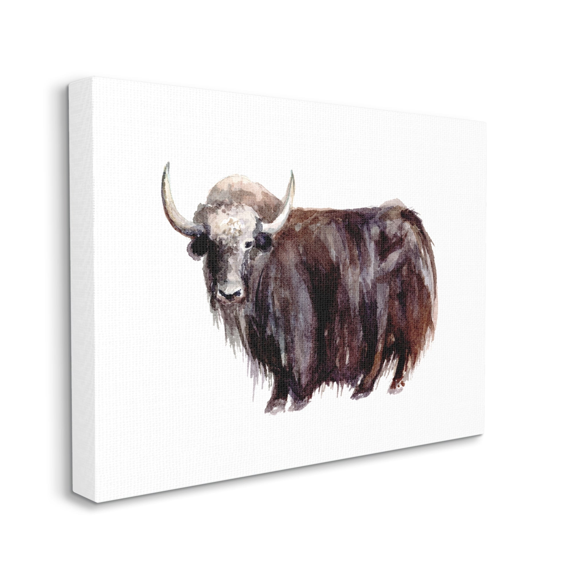 Stupell Industries Shaggy Cattle Watercolor Painting Farm Animal Yak Portrait, 48 x 36,Design by Fox Hollow Studios