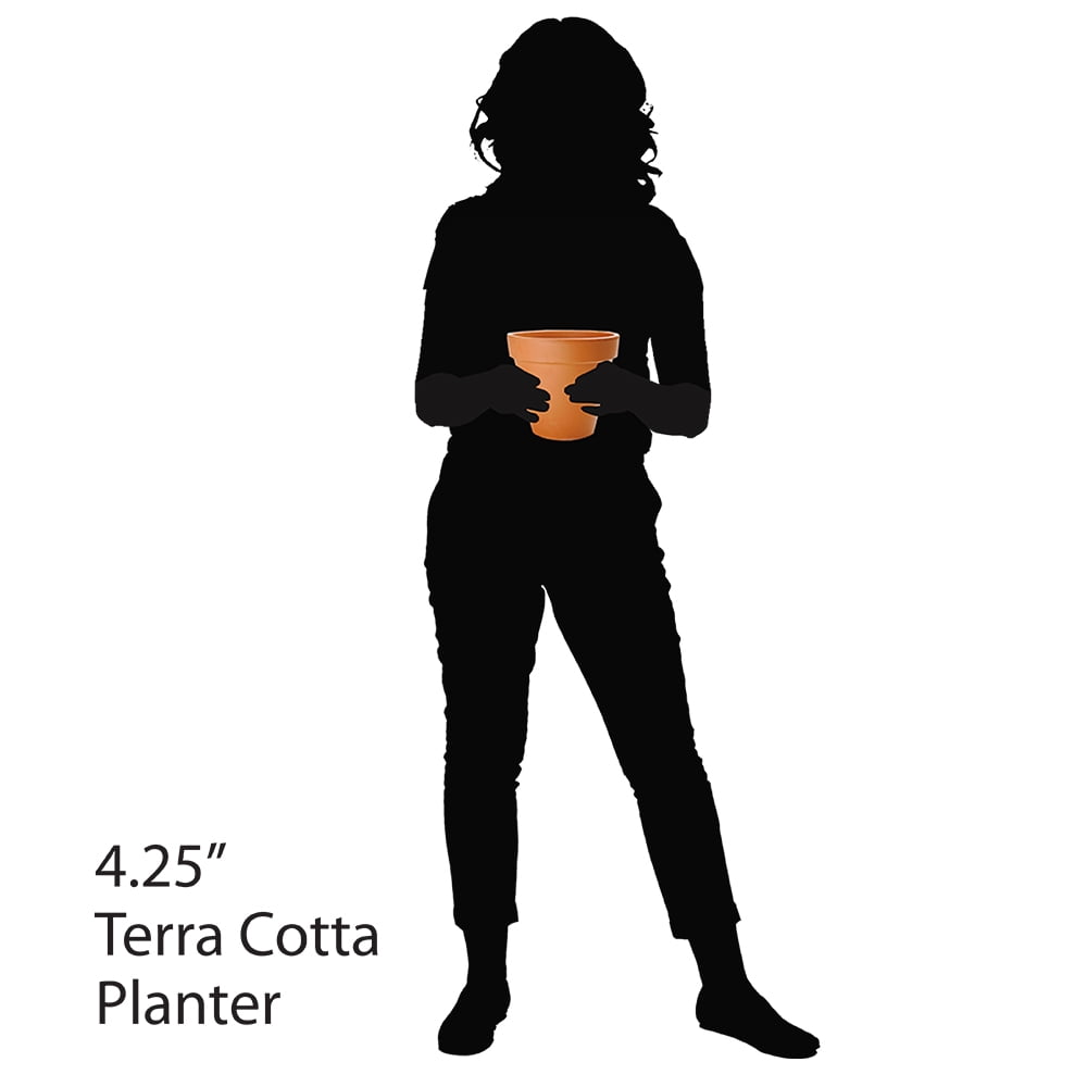 Pennington Red Terra Cotta Clay Planter, 4 inch Pot