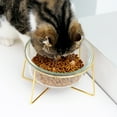 thumbnail image 1 of WRITWAA 1Pcs Bol de Nourriture pour Animaux en Verre Transparent Design à Base Haute Oblique Dorée pour Chien Chat, 1 of 6